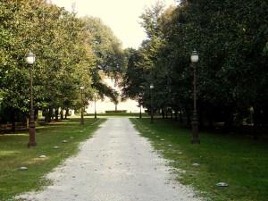 Villa Borbone - Parco - 2012 10 21 - 004