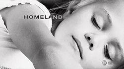 Homeland - Caccia Alla Spia [Stagione 1]