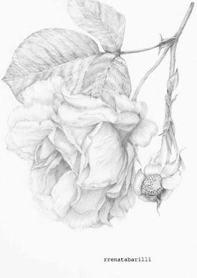 Graphite