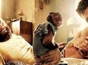 notte leoni (2011)
