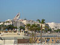 Vorrei essere a Cannes