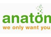 Anatomicals