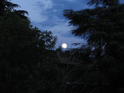 Maltempo fotografico nel lodigiano