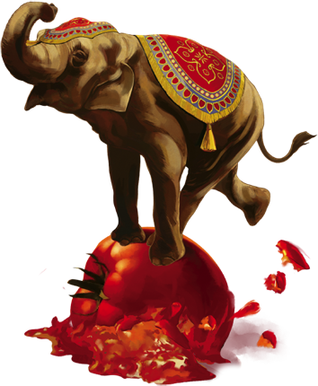 Il circo di Casa Gusto sbarca in Australia