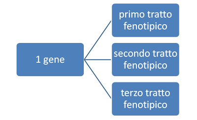 Pleiotropia