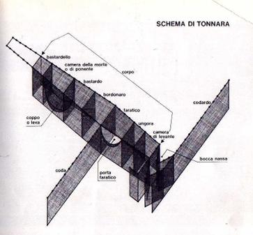 schema di tonnara