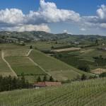 1305_Langhe040