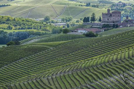 1305_Langhe075