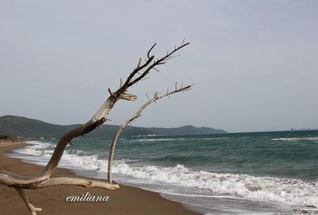 Parco naturale della Maremma - seconda parte