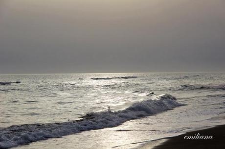 Parco naturale della Maremma - seconda parte