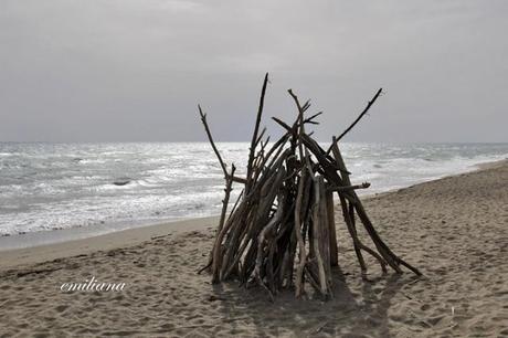 Parco naturale della Maremma - seconda parte