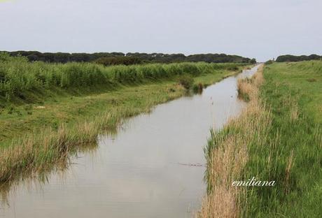 Parco naturale della Maremma - seconda parte