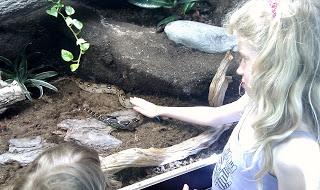 Accarezzare un serpente