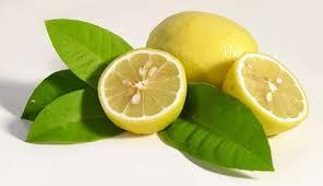 I limoni di Polenghi