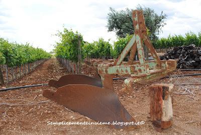 Puglia e cantine aperte