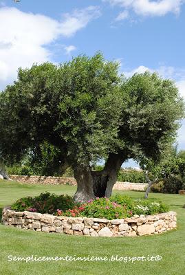 Puglia e cantine aperte