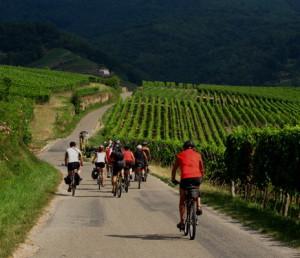 Con due ruote sulla Strada dei vini dell'Alsazia