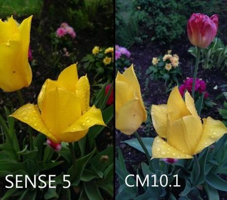 sense 5 vs cm 10.1 foto1