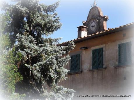 Nella mia.... vera unica  terra toscana...