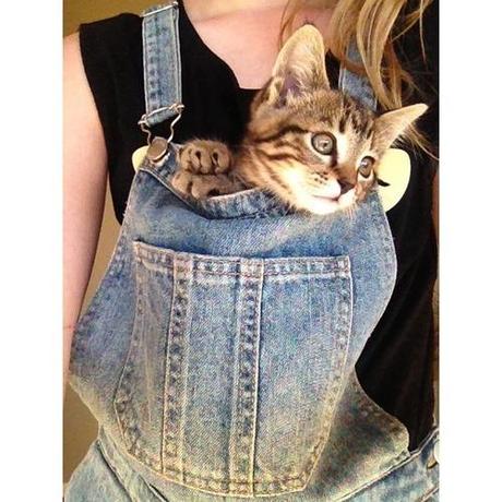 OVERALLS