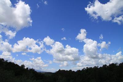 cronache di cieli, nuvole e pavoni