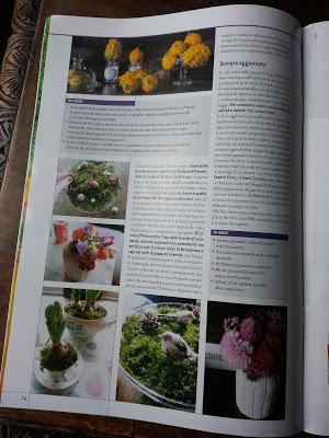 GREEN UP Mensile sono in copertina!