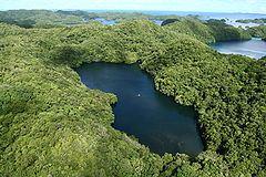 240px-Jellyfish_Lake_aerial_(March_2008)