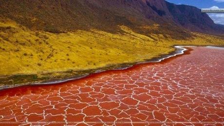 lake-natron-1[2]