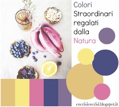 prove di stile, palette 'colori della natura', freebies, labels, illustrazioni per blog gratuite