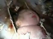 Miracolo cina: neonato gettato estratto vivo dalle tubature della fogna