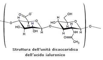 Acido ialuronico struttura