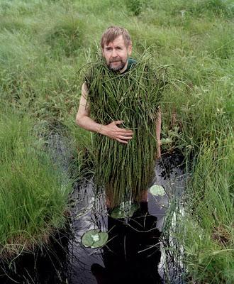 Eyes as Big as Plates