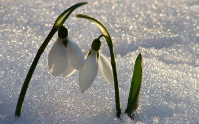 Un soffio di primavera - Villa Necchi Campiglio