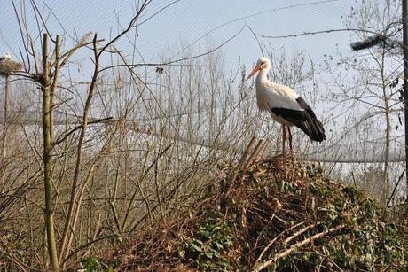 Meraviglie della natura - Oasi di Sant' Alessio