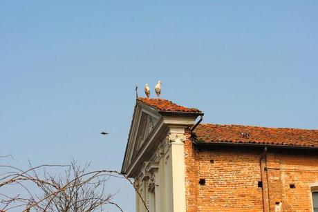 Meraviglie della natura - Oasi di Sant' Alessio