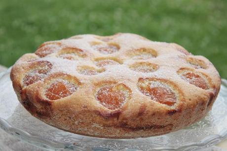 Torta di farro alle albicocche sciroppate