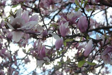 A pink flowers Out-Fit