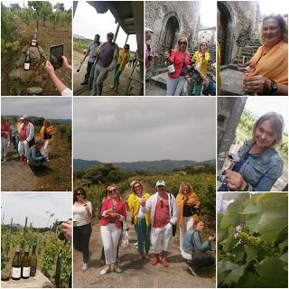 Wine tour a Tenuta di Fessina… che la bellezza infiora!