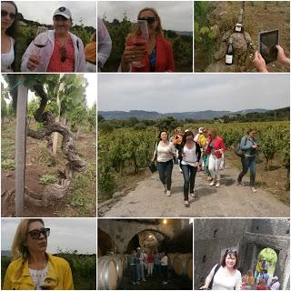 Wine tour a Tenuta di Fessina… che la bellezza infiora!