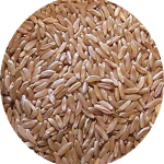 Cous Cous Di Kamut Ai Cannellini damgas.altervista.org