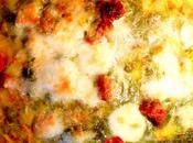 Lasagna crepes pesto mozzarella, zucchine, fagiolini pomodorini