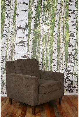 Decorazioni con la Betulla_Birch trees