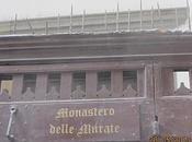 Vergogna
