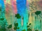 Rainbow Poppies Soapy Film Mustolina)