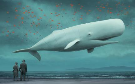 Fail Whale, Ka-92