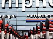 Mattanza delle oche nell’aeroporto Amsterdan: 10.000 esemplari pericolo