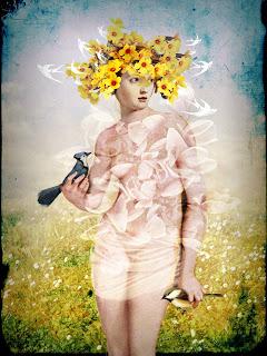 Catrin Welz-Stein