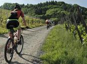 holyday with bicycle Trentino.