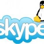 Skype per Linux 4.1