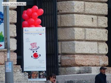 p1170565 I clown di Parada a Verona: fotografie e video